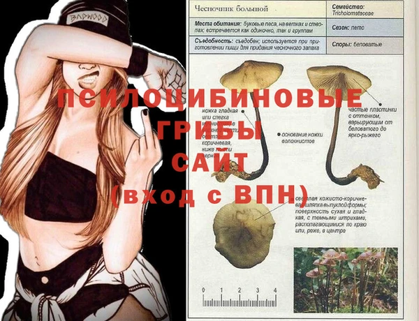 прущий лед Абинск