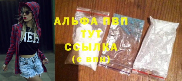 стаф Абаза