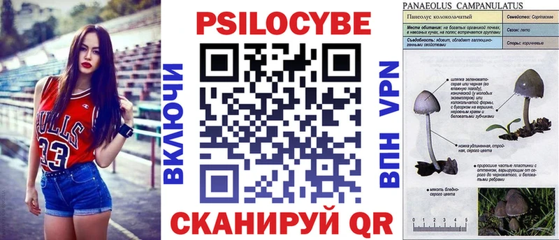 Псилоцибиновые грибы мухоморы  даркнет сайт  Воронеж 