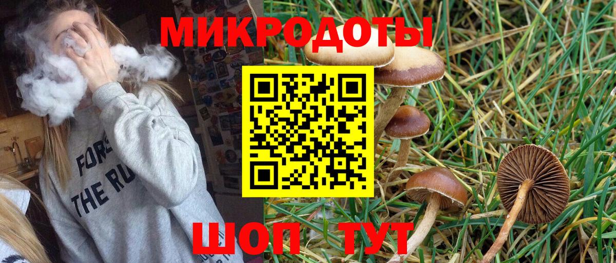 Псилоцибиновые грибы прущие грибы Воронеж